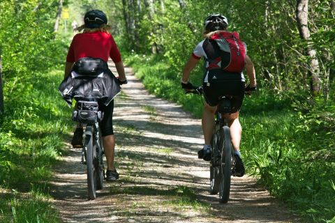 Veranstaltung: Geführte Mountainbike-Tour Radfahren / pixabay